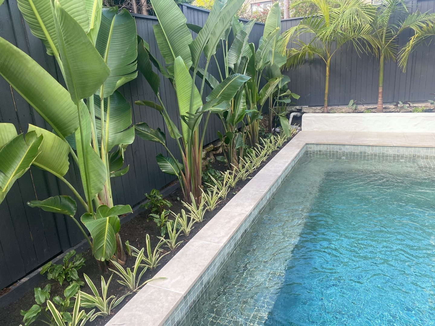 Custom pool surrounded by green plants